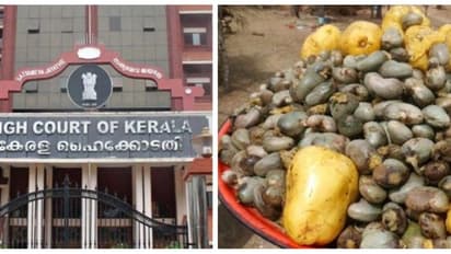 കശുവണ്ടി വികസന കോർപ്പറേഷൻ അഴിമതി; വിജിലൻസ് കോടതിയുത്തരവ് ചോദ്യം ചെയ്ത് സമർപ്പിച്ച പുനപരിശോധന ഹർജി തീർപ്പാക്കി