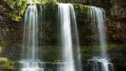 Amazon Rainforest fire: 11 facts about the beautiful forest you should know