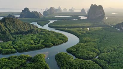 മൂത്രം കുടിച്ചും പുഴുക്കളെ തിന്നും കഴിഞ്ഞത് 31 ദിവസം; ആമസോണ്‍ വനത്തില്‍ വഴിതെറ്റിയ ആളെ ഒടുവില്‍ രക്ഷപ്പെടുത്തി