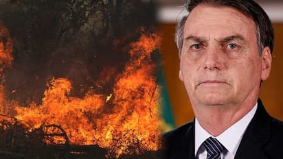 ആമസോൺ വനത്തിലെ തീ: വിദേശരാജ്യങ്ങൾ ഇടപെടേണ്ടെന്ന് ബ്രസീലിയൻ പ്രസിഡന്റ്