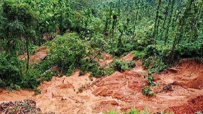 ಸಾಲಗಾರರಾದ ರೈತರು : ವಿಪತ್ತು ಘೋಷಣೆಗೆ ಆಗ್ರಹ