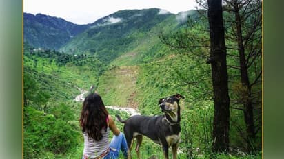 ಭಾರತೀಯರು ಶೋ ಆಫ್ಗಾಗಿ ಪ್ರವಾಸ ಹೋಗುತ್ತಾರಂತೆ!
