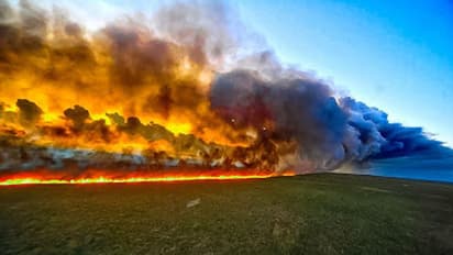 আমাজন রক্ষায় এগিয়ে এল জি৭-এর সদস্য দেশ, ব্রাজিলকে আর্থিক সাহায্য ঘোষণায় ফরাসি প্রেসিডেন্ট