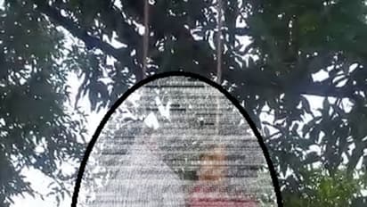 समाज की बंदिशों से तंग आकर पेड़ पर लटका मासूम इश्क