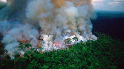 ವಿಶ್ವದ ‘ಶ್ವಾಸಕೋಶ’ದಲ್ಲಿ ಕಾಡ್ಗಿಚ್ಚು: ಧಗ ಧಗ ಉರಿಯುತ್ತಿದೆ ಅಮೆಜಾನ್ ಕಾಡು!