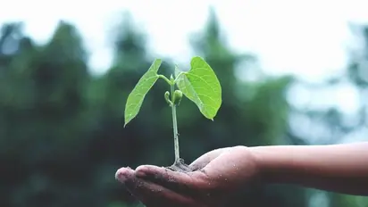 വീടിനുള്ളില് ഒരു ലോക ഭൗമദിനം