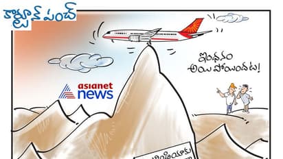 కార్టూన్ పంచ్