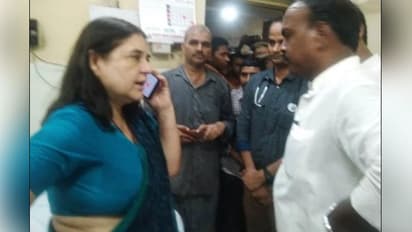डॉक्टर पर भड़कीं मेनका गांधी, कॉल करके कहा-' सुधर जाओ, नहीं तो दो मिनट में तुम्हारा काम तमाम हो जाएगा'