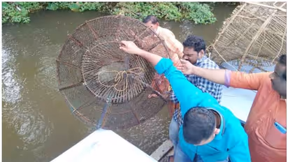 അനധികൃത മത്സ്യബന്ധനം; ഉള്നാടന് ജലാശയങ്ങളില് റെയ്ഡ്