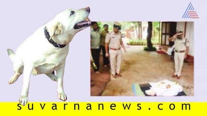 ಸ್ಫೋಟಕ ಪತ್ತೆದಾರಿ ನೈನಾ ಇನ್ನು ನೆನಪು ಮಾತ್ರ, ಭಾವುಕರಾದ ಸಿಬ್ಬಂದಿ