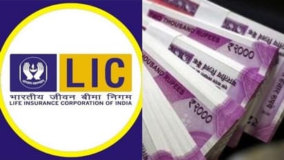 LIC Pension Plan:ಈ ಪಾಲಿಸಿಯ ಒಂದು ಪ್ರೀಮಿಯಂ ಪಾವತಿಸಿದ್ರೆ ಸಿಗುತ್ತೆ ಮಾಸಿಕ 12 ಸಾವಿರ ರೂ. ಪಿಂಚಣಿ!