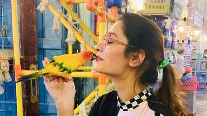 కైపెక్కిస్తోన్న పాయల్ అందాలు..!