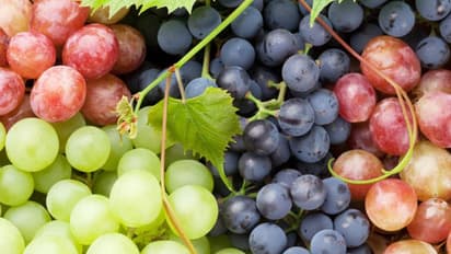 മുന്തിരി കഴിക്കുന്നത് ശീലമാക്കൂ; ഗുണങ്ങൾ ചെറുതൊന്നുമല്ല