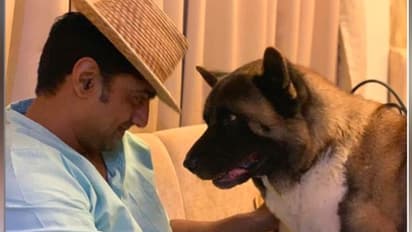 বাড়িতে পোষ্য আনার কথা ভাবছেন! পাঁচটি উপকারিতা পেতে সঙ্গে রাখতেই পারেন সারমেয়