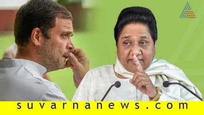 ಶ್ರೀನಗರ ಭೇಟಿಗೆ ರಾಹುಲ್ ಟೀಂ ಯತ್ನ: ತರಾಟೆ ತೆಗೆದುಕೊಂಡ ಮಾಯಾವತಿ