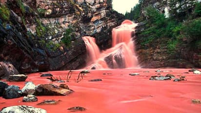 ক্যামেরনের রহস্যময় এই জলপ্রপাতের রং পরিবর্তিত হয় সময়ের সঙ্গে সঙ্গে