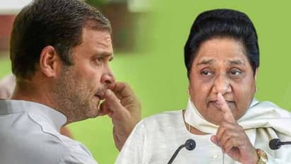 উপত্যকায় যাওয়ার আগে ভাবার প্রয়োজন ছিল, কাশ্মীর সফর নিয়ে রাহুলকে খোঁচা মায়াবতীর