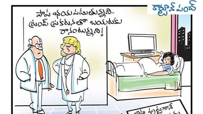 కార్టూన్ పంచ్