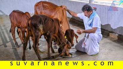 ಈ ಪ್ರಾಣಿಗಳಿಗೆ ಹಸಿರು ತರಕಾರಿ ತಿನ್ನಿಸಿದ್ರೆ ಅದೃಷ್ಟ ನಿಮ್ಮದಾಗುತ್ತೆ!