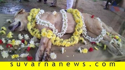 ಶಿವಮೊಗ್ಗ: ಪೊಲೀಸರ ಅಚ್ಚುಮೆಚ್ಚಿನ ರಮ್ಯಾ ಇನ್ನಿಲ್ಲ