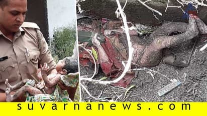 ಚರಂಡಿಗೆಸೆದಿದ್ದ ಶಿಶುವನ್ನು 'ದೇವದೂತ'ನಂತೆ ರಕ್ಷಿಸಿದ ಪೊಲೀಸ್!