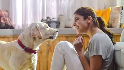 किसी स्टार्स से कम नहीं इन स्टार्स के डॉग के नखरे, कोई जाता है शूटिंग में साथ तो किसी का बना है इंस्टाग्राम पेज