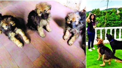 വിസ്കിയുടെയും ബ്രാണ്ടിയുടെയും കുഞ്ഞ് 'വോഡ്ക' ഇനി പൊലീസിലേക്ക് !