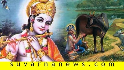 'ಕೃಷ್ಣನಂತೆ ಕೊಳಲೂದಿದರೆ ಹಸು ಹೆಚ್ಚು ಹಾಲು ಕೊಡುತ್ತೆ!'