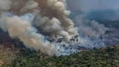 Amazon rainforest fire: Lingering smoke causes respiratory illnesses among Brazilians