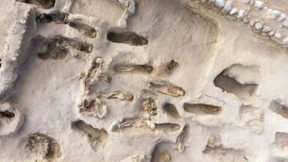 കണ്ടെടുത്തത്, ബലിയര്പ്പിക്കപ്പെട്ട 227 കുട്ടികളുടെ ശരീരാവശിഷ്ടങ്ങള്; ചരിത്രത്തിലെ തന്നെ ഏറ്റവും വലിയ ബാലബലിയെന്ന് ഗവേഷകര്