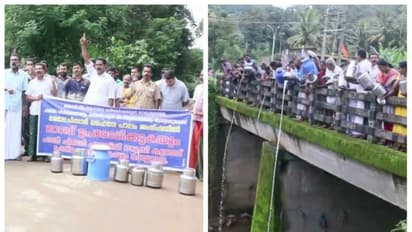 പാലിന് വില കിട്ടുന്നില്ല; പാൽ പുഴയിൽ ഒഴുക്കി പ്രതിഷേധിച്ച് കർഷകർ