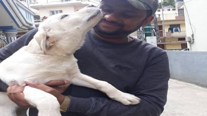 ಶೋಕಿಗಾಗಿ ನಾಯಿ ಸಾಕಿ ಹಿಂಸೆ ಕೊಟ್ಟ ಬೆಂಗ್ಳೂರು ಮಾಲೀಕನ ಮೇಲೆ ಕೇಸ್