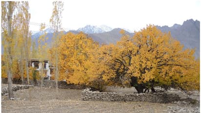 കശ്മീരിനെ കുറിച്ച് വാര്ത്തകള് കേള്ക്കുമ്പോഴൊക്കെ ആദ്യം ഓര്മവരുക ആ മുഖമാണ്; കാര്ഗിലിലെ വേറിട്ട ഒരു യാത്ര
