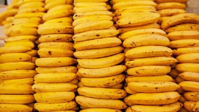 Here’s why bananas are banned at this Lucknow railway station