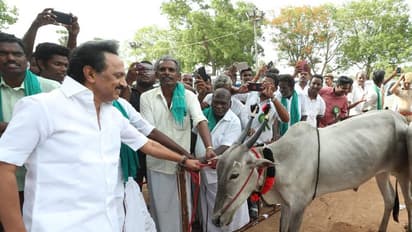 தமிழகம் மீது ரசாயன தாக்குதல்... மோடி அரசு மீது மு.க. ஸ்டாலின் சகட்டுமேனிக்கு குற்றச்சாட்டு!