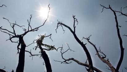 ಮಂಗಳೂರು: ಶುಷ್ಕ ವಾತಾವರಣ, ಇನ್ನೂ ದುರಸ್ತಿಯಾಗಿಲ್ಲ ರೈಲು ಹಳಿ