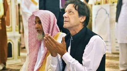 पीएम इमरान खान नहीं नाकारा पीएम कहें जनाब, नियाजी को पाकिस्तान में मिली नई पदवी