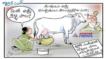 కార్టూన్ పంచ్