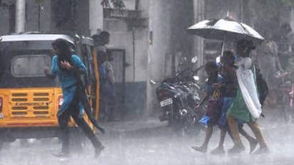 ಕೊಡಗಿನಲ್ಲಿ ಭಾರೀ ಮಳೆ ಮುನ್ಸೂಚನೆ: ರೆಡ್ ಅಲರ್ಟ್ ಘೋಷಣೆ, ಶಾಲಾ-ಕಾಲೇಜು ಬಂದ್