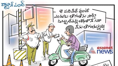 కార్టూన్ పంచ్