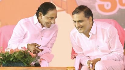 టీఆర్ఎస్లో ట్రబుల్ షూటర్: రికార్డుల విజేత హరీష్ రావు