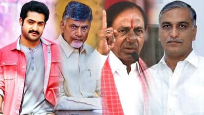 జూ.ఎన్టీఆర్ పార్ట్ టైమ్, హరీష్ ఫుల్ టైమ్: కేసీఆర్ కు అల్లుడి పోటు