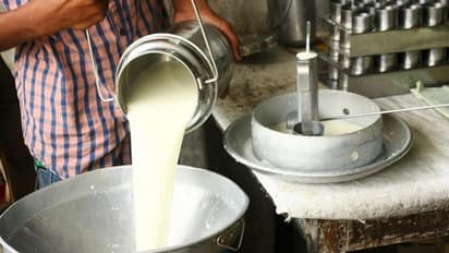 ರೈತರಿಗೆ ಬಂಪರ್ : ಹಾಲಿನ ಬೆಲೆ ಏರಿಕೆ