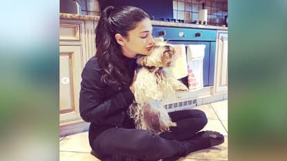 ब्वॉयफ्रेंड से ब्रेकअप के पांच महीने बाद श्रुति हासन को मिला ये नया दोस्त: PHOTOS