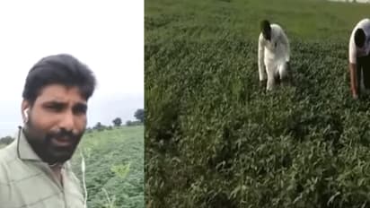 किसान ने अनोखे अंदाज में बयां किया अपना दर्द, CM कमलनाथ से लगाई मदद की गुहार