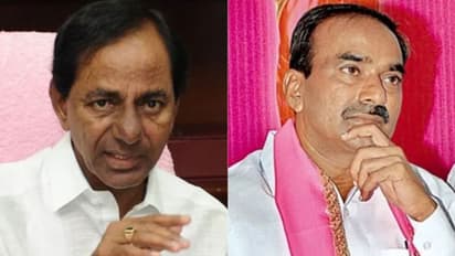 కేసీఆర్ కు గులాబీ ఓనర్ల చిక్కు: హరీష్ రావుతో ఈటల రాజేందర్ కు చెక్