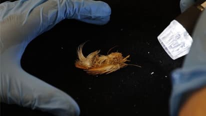 500 വര്ഷത്തിലേറെ പഴക്കമുള്ള ആ മമ്മി ഒരു രാജകുമാരിയുടേതാണോ? അവളെ ബലി നല്കിയതോ? പഠനത്തില് പറയുന്നത്