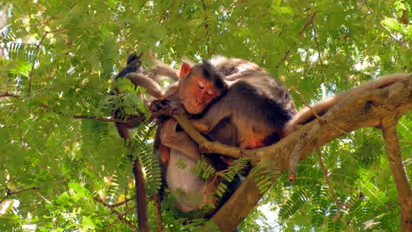 Visit these five places in Bengaluru if you want to see the true spirit of wildlife