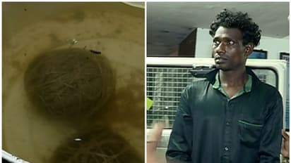 പൊലീസിന് നേരെ ബോംബെറിഞ്ഞ് രക്ഷപ്പെട്ട ഗുണ്ട പിടിയില്