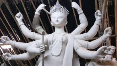 পুজোয় সোনালি ঘাসের মণ্ডপ দেখতে এবার গন্তব্য হোক টালা বারোয়ারি